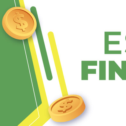 PARTICIPACION - Estados Financiero - 2024